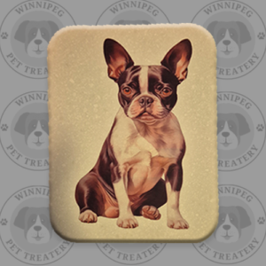 Corian® Pet Signs - Boston Terrier
